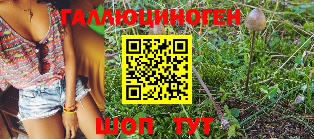 Псилоцибиновые грибы ЛСД  Псилоцибиновые грибы GOLDEN TEACHER  Заводоуковск  Вход с VPN 