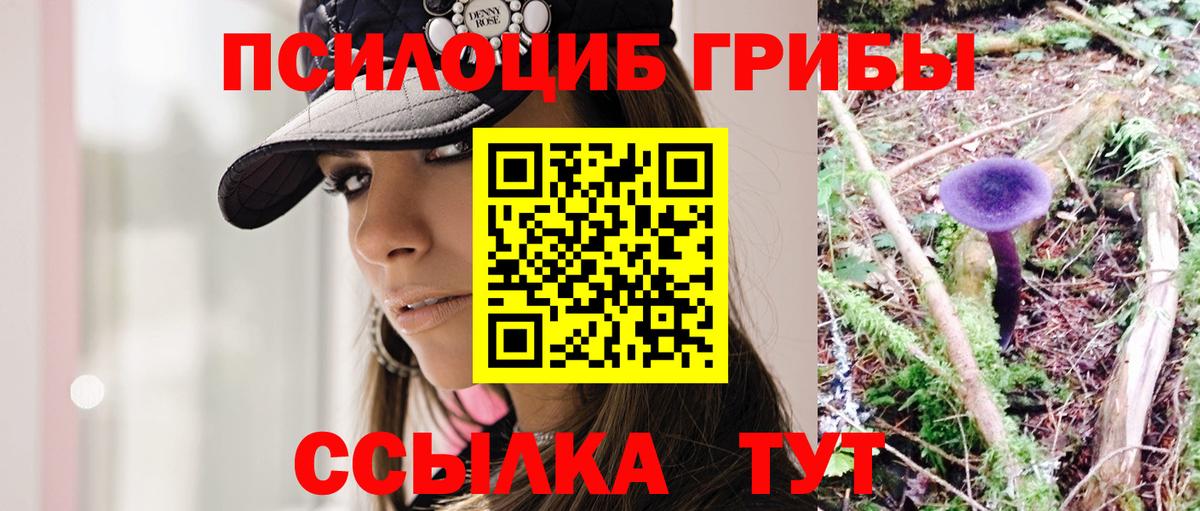 Галлюциногенные грибы прущие грибы Заводоуковск